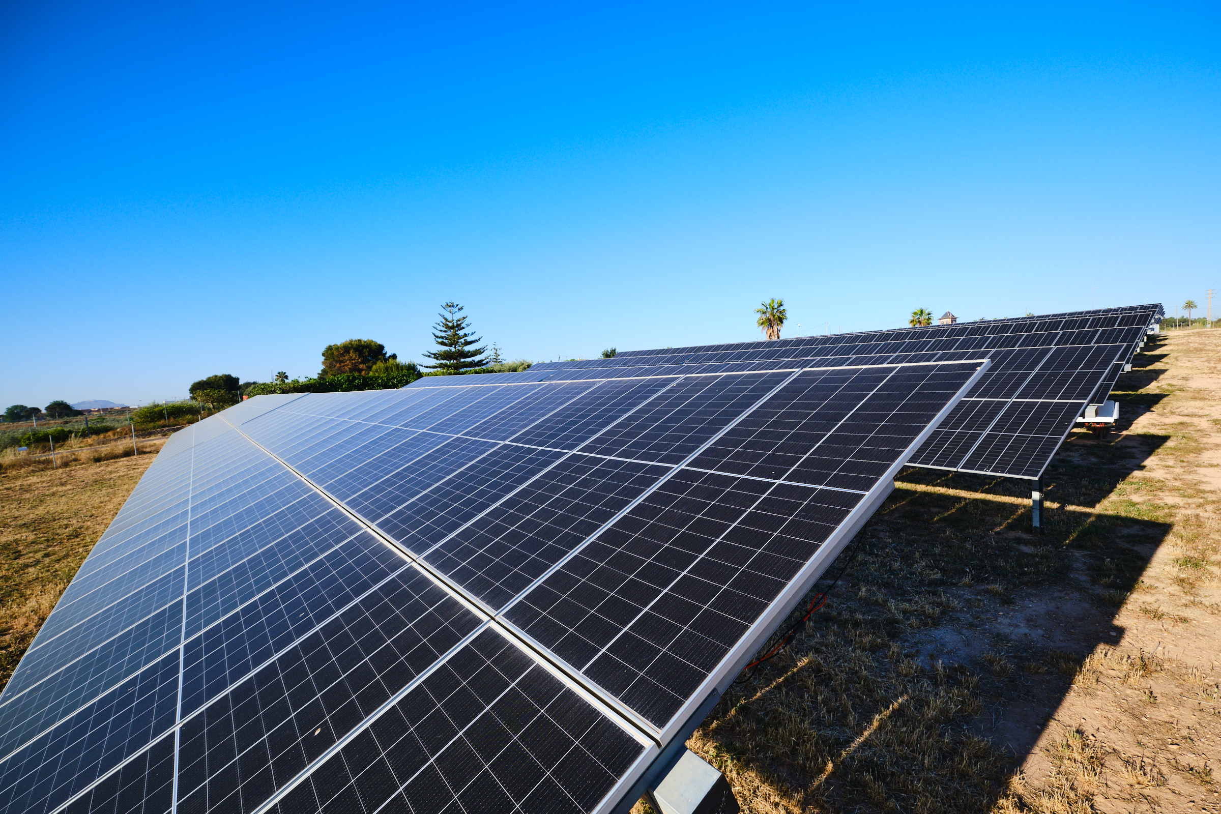 TotalEnergies y Soltec construirán el parque solar La Cerámica en la Comunidad Valenciana