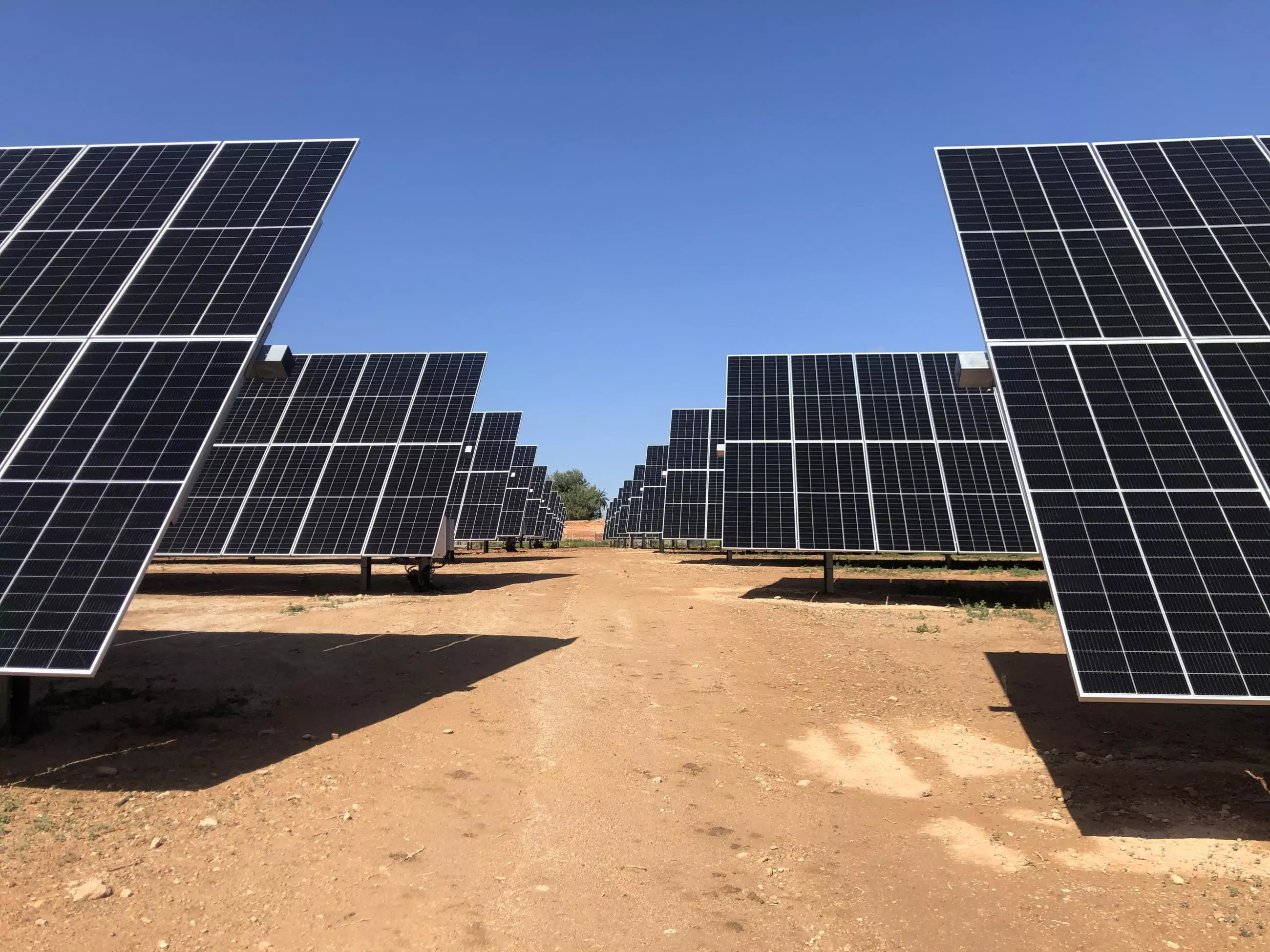 paneles solares en un parque de totalenergies
