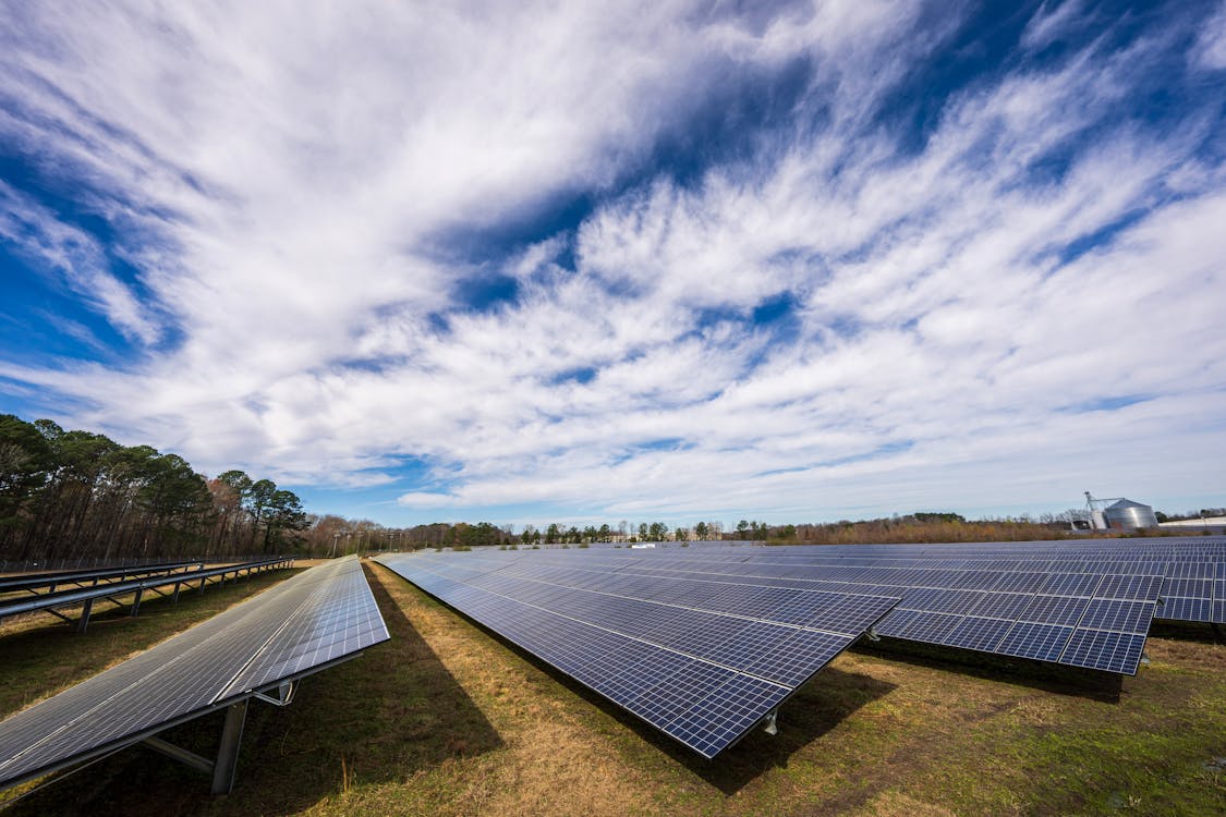 Planta de energía fotovoltaica en un campo