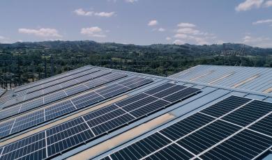 La instalación solar fotovoltaica de GAM en Granda construida en colaboración con TotalEnergies