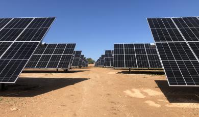 Paneles solares en un parque de TotalEnergies