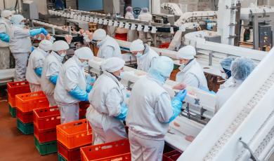 Reducir el consumo energético en la industria manufacturera