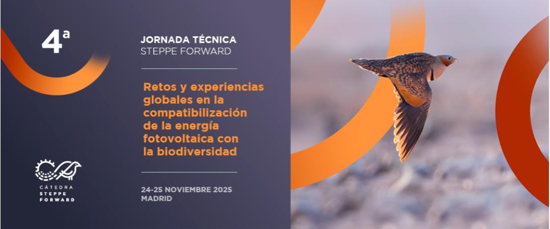 iv jornada catedra steppe forward