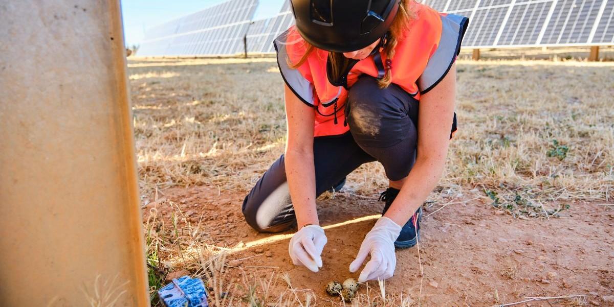 c&aacute;tedra-steppe-forward