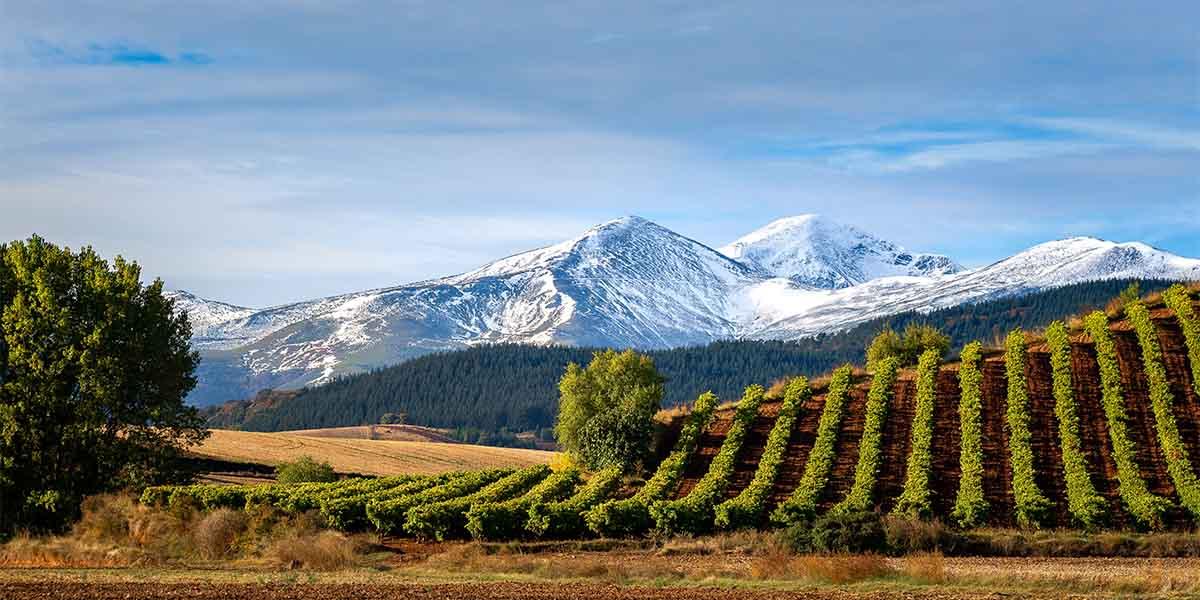 subvenciones para la instalación de placas solares en la rioja
